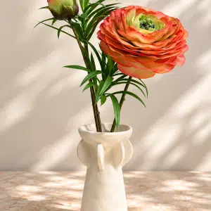 Single Tiny Pot Ranancullus