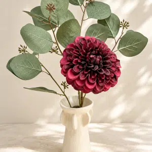 Single Tiny Pot Dahlia